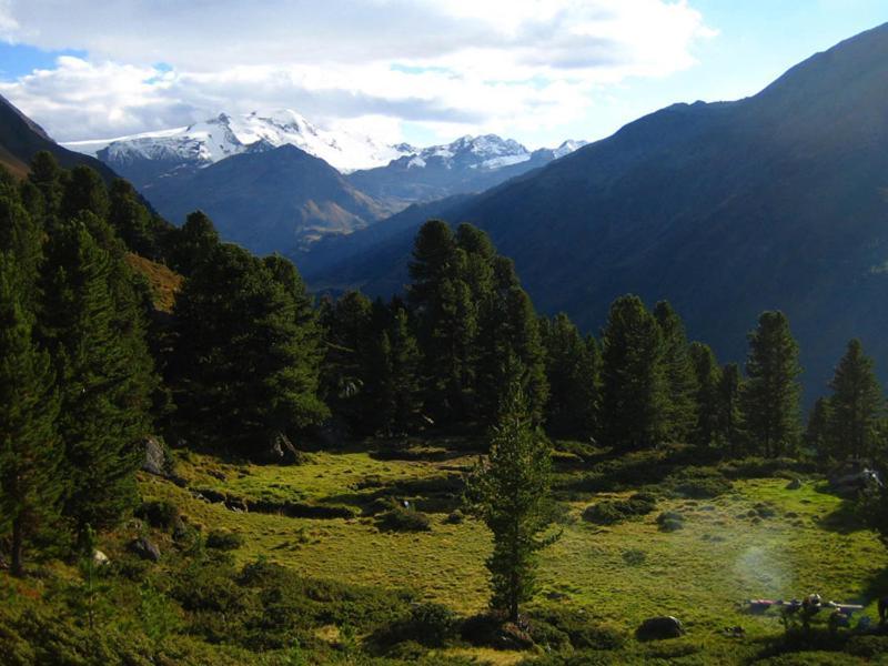 Plattnerhof Kaunertal Zewnętrze zdjęcie