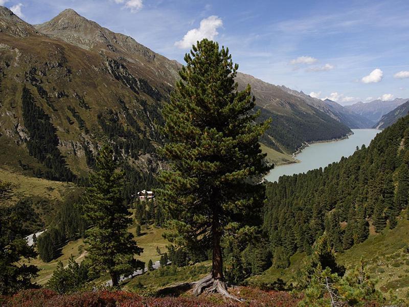 Plattnerhof Kaunertal Zewnętrze zdjęcie