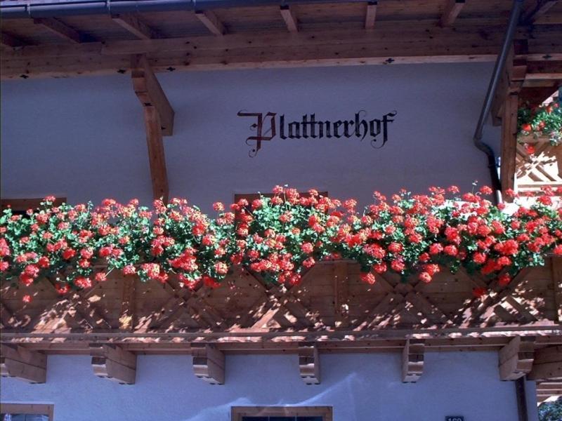 Plattnerhof Kaunertal Pokój zdjęcie